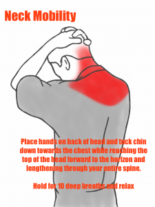 Neck Mobility - Neck Flexion Stretch
