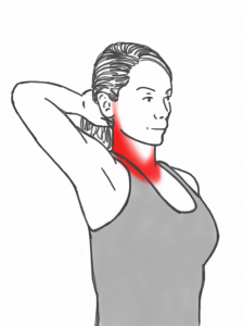 Neck Stability - Neck Retraction Exercise against a Hand