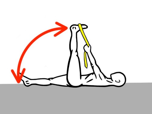 Assisted Single Leg Lowering