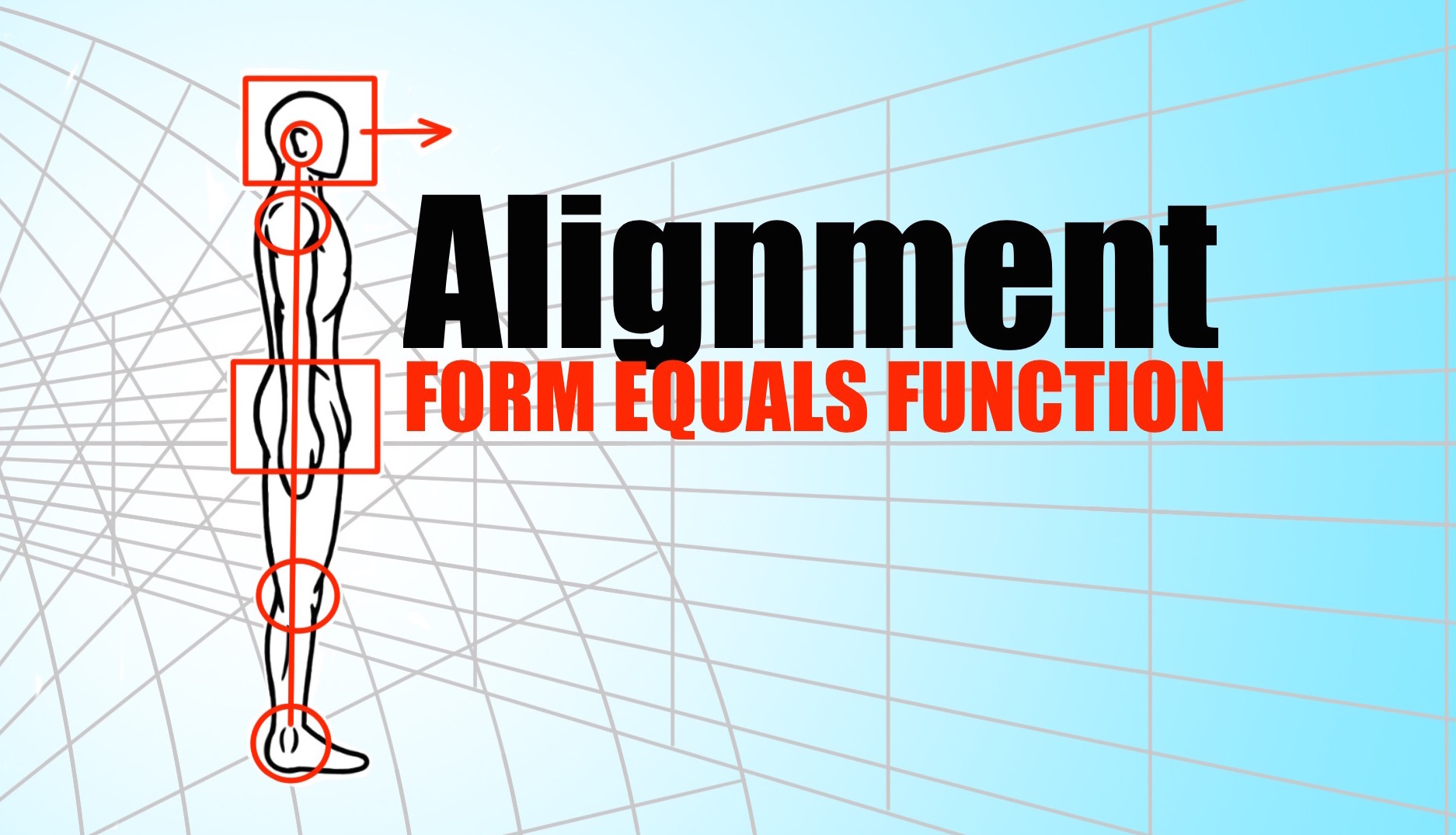 Alignment – Form Equals Function