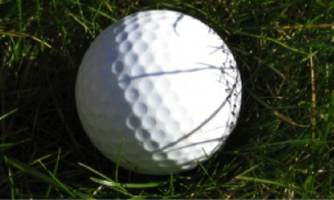 Soft Tissue Therapy Tool - Golf Ball