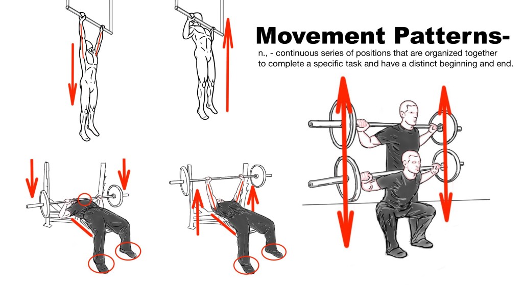 Movement Patterns - Example in Exercises - Squat - Bench Press - Pull-up