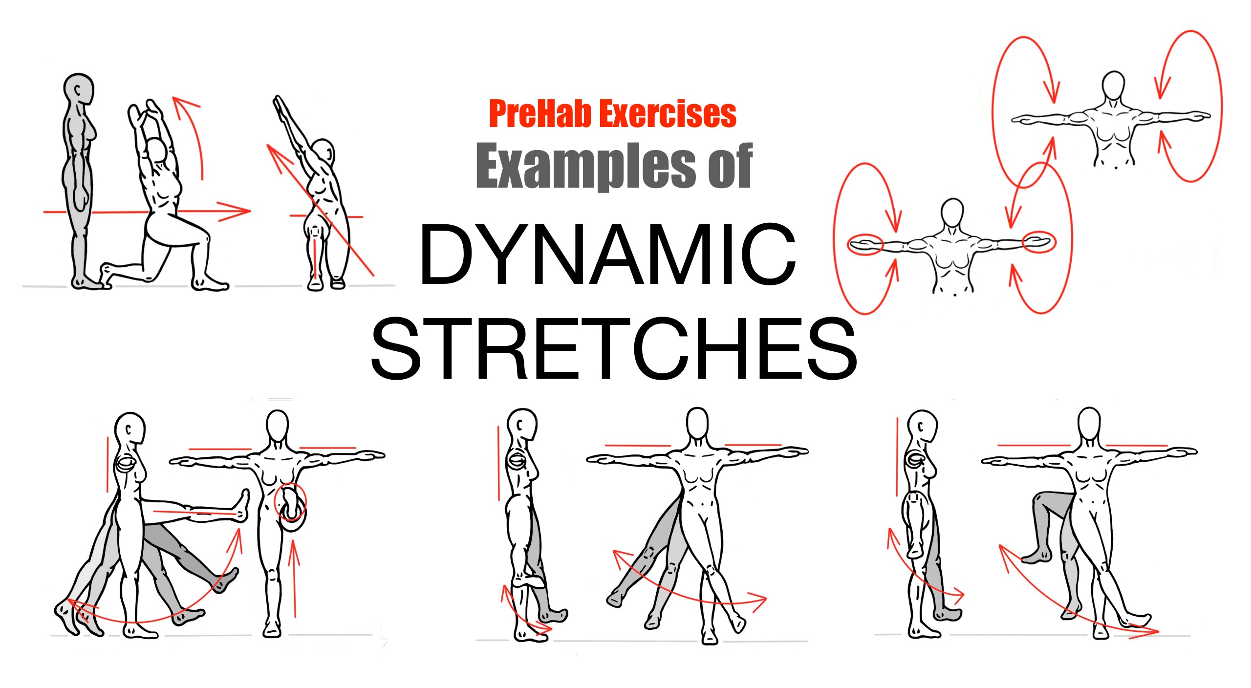 Dynamic Stretching Chart