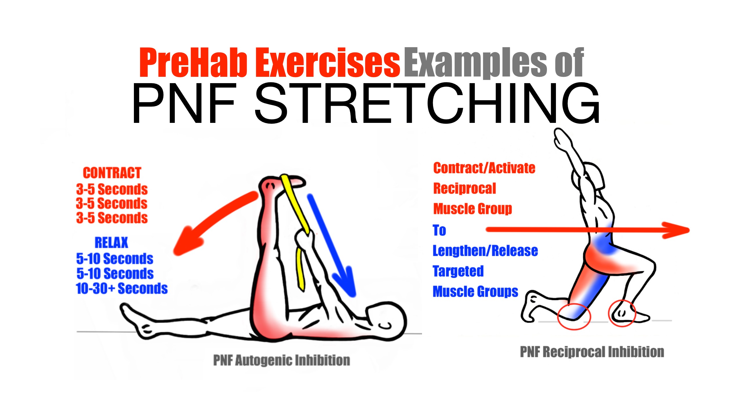 The Art Of Stretching PreHab Exercises