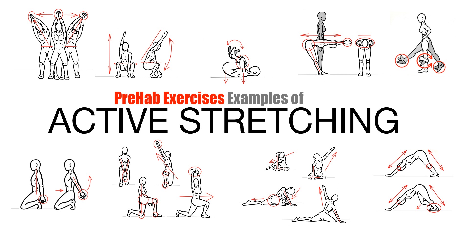 Dynamic Stretches - Leg Swings and Shoulder Dislocates Examples