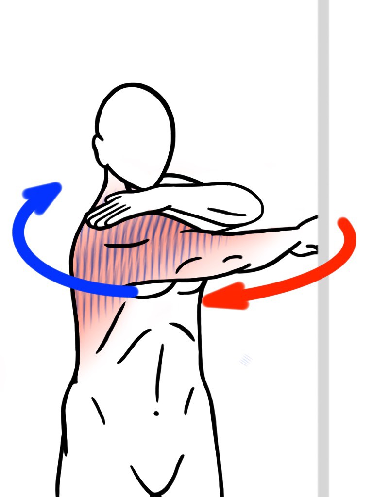 Stretching - PNF Stretch - Contract:Relax - Wall Assisted Shoulder Abduction (Arm Swing or Arm Whip) for Thoracic Spine and Shoulder Mobility - Stretch for Trapezius (Upper Back), Lats and Shoulders
