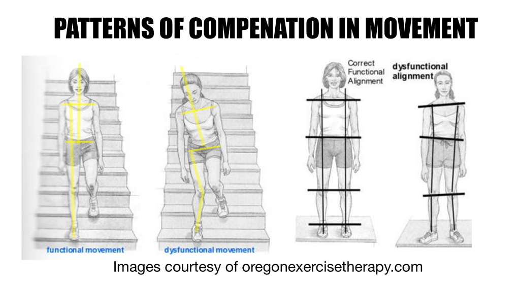 Synergisitic Training - Examples of Compensation in Movement via www.oregonexercisetherapy.com