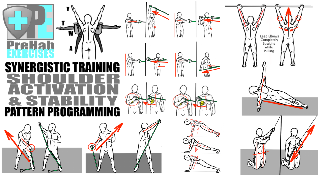 Synergistic Training - Pattern Programming for Shoulder Activation and Stability