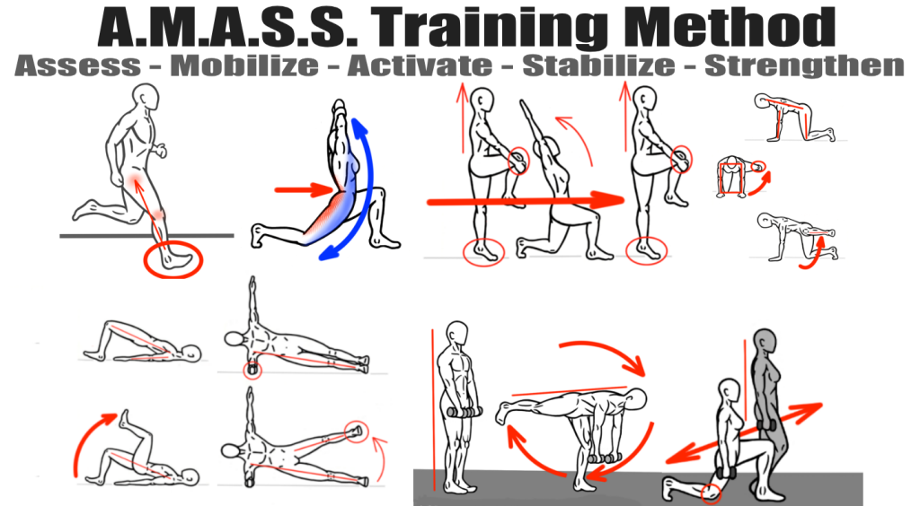 Synergistic Training - Use of the AMASS Training Method - Asess - Mobilize - Activate - Stabilize - Strengthen