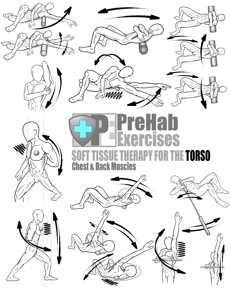 prehab-exercise-book-appendix-soft-tissue-therapy-for-the-torso-chest-and-back-pectorals-latissimus-dorsi-rhomboids-trapezius