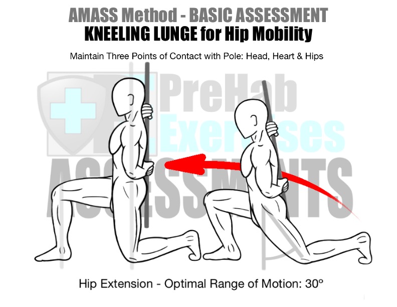 prehab-exercises-amass-method-basic-assessment-for-running-kneeling-lunge-with-pole-for-hip-mobility-optimal-range-of-motion-for-hip-extension