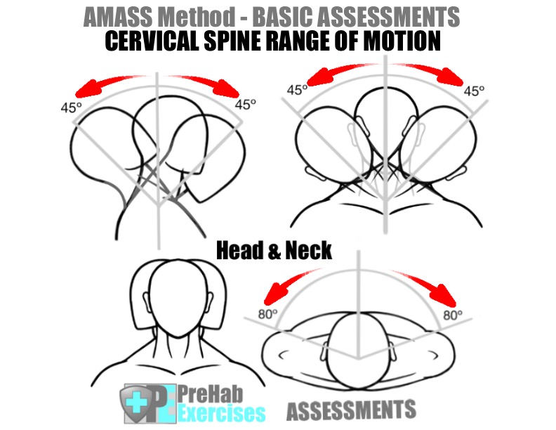 Back and Neck Spine Assessment Surrey, BC