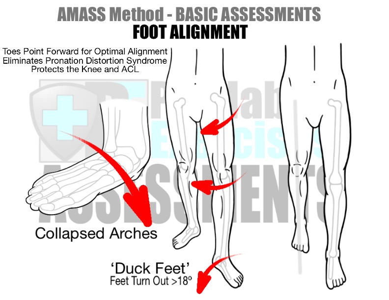 Exercises for Running Alignment 