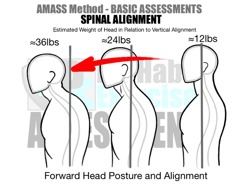 prehab-exercises-amass-method-basic-assessments-for-running-spinal-alignment-and-forward-head-posture