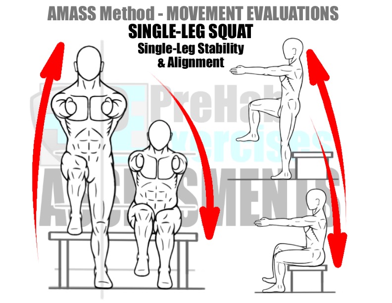 prehab-exercises-amass-method-movement-evaluation-for-running-single-leg-squat-to-and-from-bench-for-single-leg-stability-and-alignment