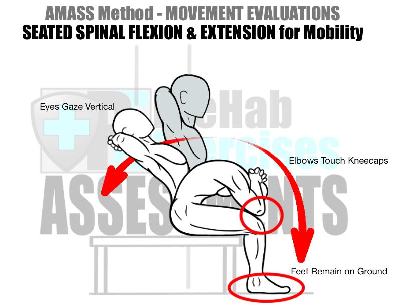 prehab-exercises-amass-method-movement-evaluations-for-running-seated-spinal-flexion-and-extension-for-mobility
