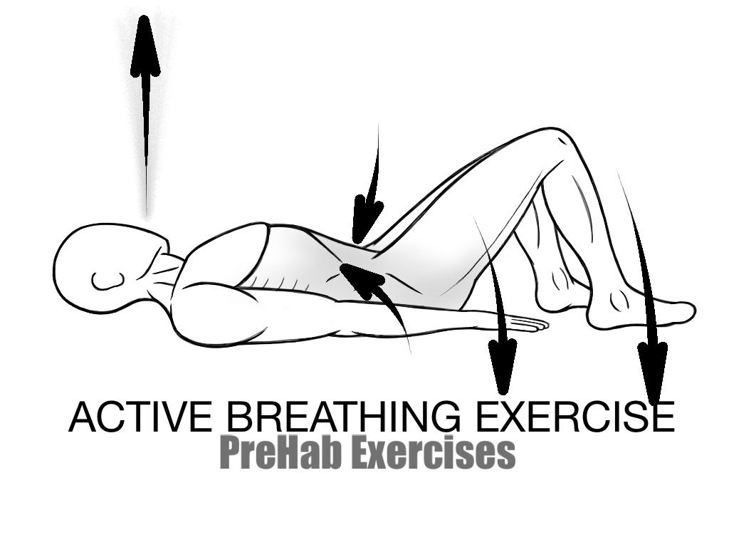prehab-exercises-active-breathing-exercise-assisting-with-the-arms-and-legs-by-pressing-into-the-floor
