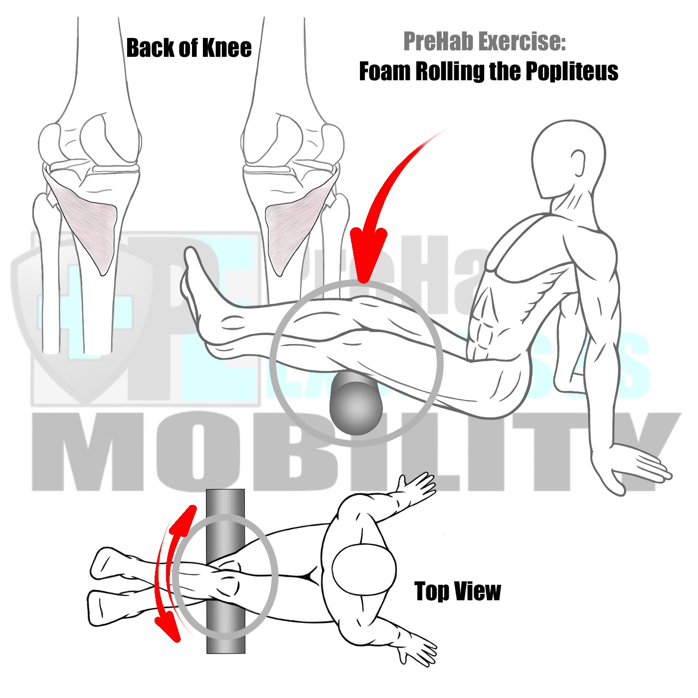 prehab-exercises-foam-rolling-the-popliteus-muscle-knee-alignment-and-stability